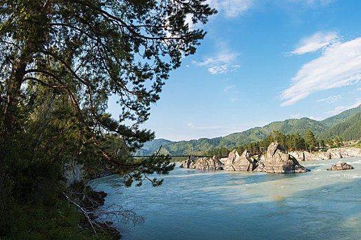 迅速,山,河