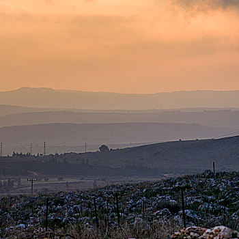 日出,上方,风景,加利利地区,以色列