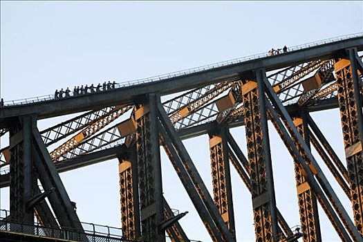 澳大利亚,新南威尔士,悉尼,攀登者,钢铁,悬挂,拱形,悉尼海港大桥