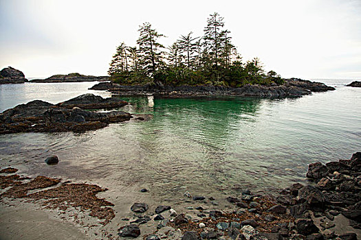 海滩,营地,靠近,温哥华岛,不列颠哥伦比亚省,加拿大