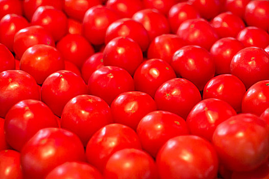 很多番茄