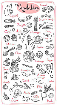 绘画,蔬菜,设计,菜单,烹饪,包装,产品,矢量,插画