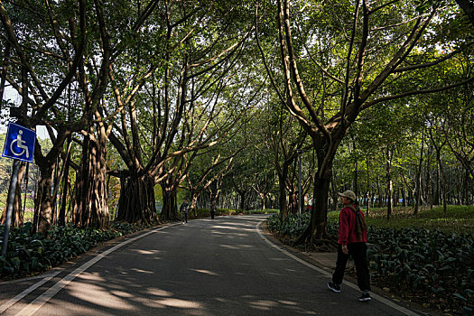 羊城广州冬天的天河公园景色