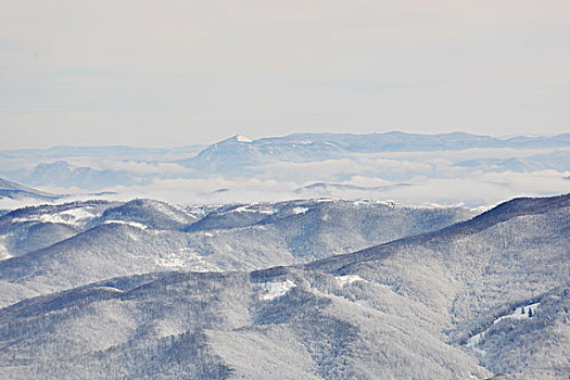 冬天,山景,晴天,雪,顶峰