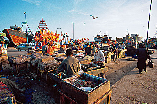 捕鱼者,港口,苏维拉,摩洛哥,北非