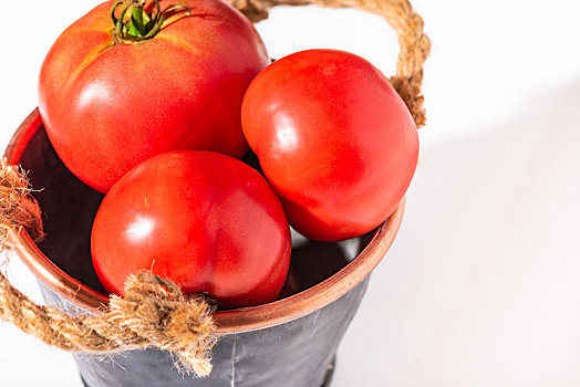 铁桶里的番茄
