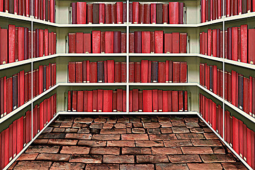 红色,封面,书本,架子,老,砖,图书馆