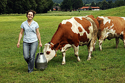 年轻,牛奶,容器,草地,母牛