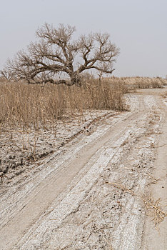 新疆巴州荒漠道路