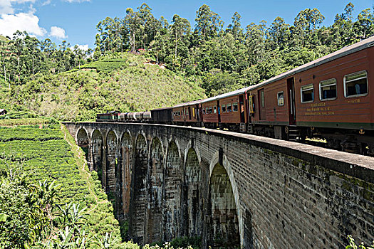 列车,拱,桥,靠近,斯里兰卡,亚洲