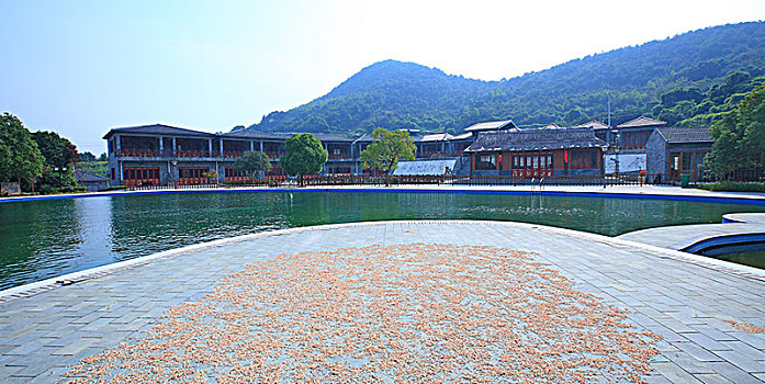 镇海,九龙人家,餐饮,民宿