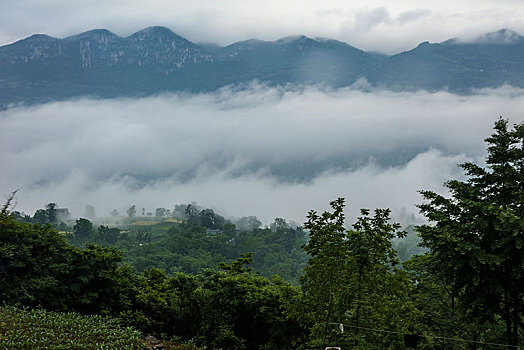 恩施,黄鹤峰,风景,景点,旅游,高山,山区,神秘,树木,植被,石头,鄂西,奇石,峡谷,壮观,云海,仙境