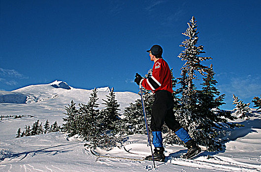 边远地区,滑雪,哈得逊湾,山,不列颠哥伦比亚省,加拿大
