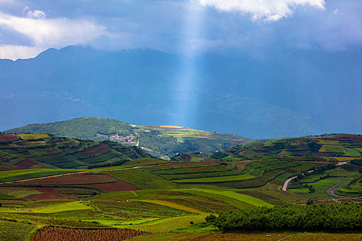 东川红土地的光,景,人