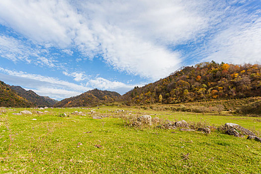 留坝狮子沟牧场