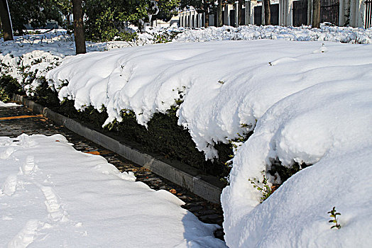 雪景