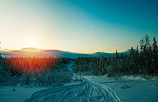 冬季风景,俄罗斯