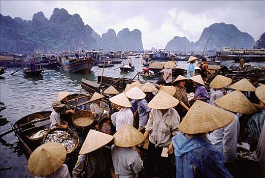 越南,下龙湾,村民,渔村