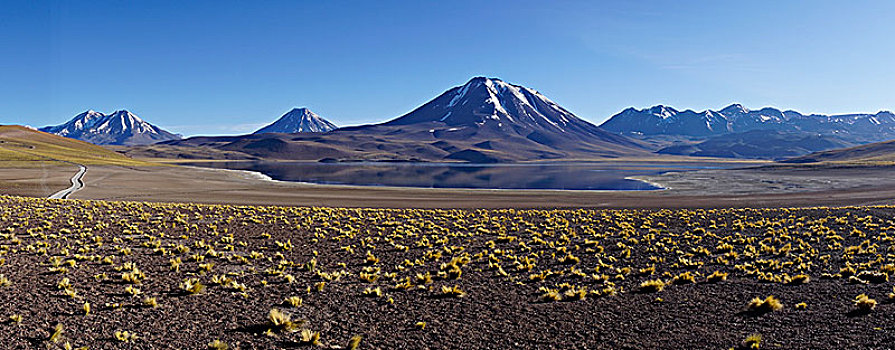 泻湖,火山,背景,靠近,佩特罗,阿塔卡马沙漠,区域,安托法加斯塔,智利,南美