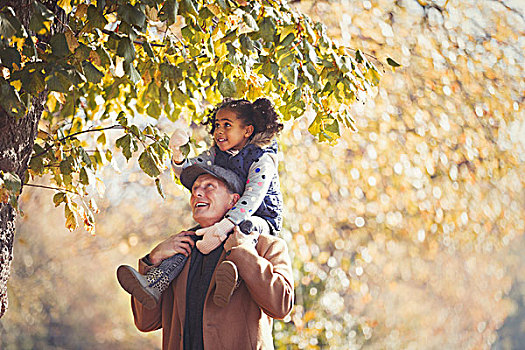 爷爷,女儿,肩上,仰视,树,晴朗,秋天,公园