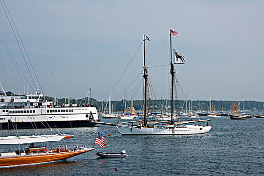 美国,马萨诸塞,玛莎葡萄园,港口,渡轮,黑色,狗,游艇,大幅,尺寸