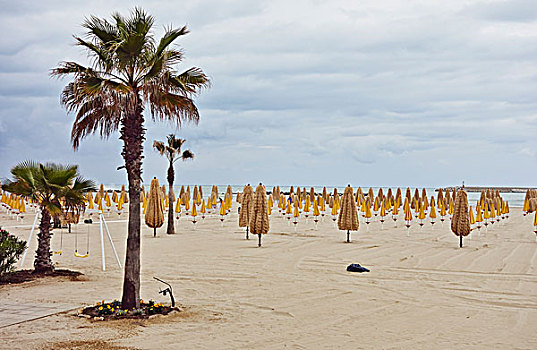 棕榈树,排,折叠,沙滩伞,海滩,意大利