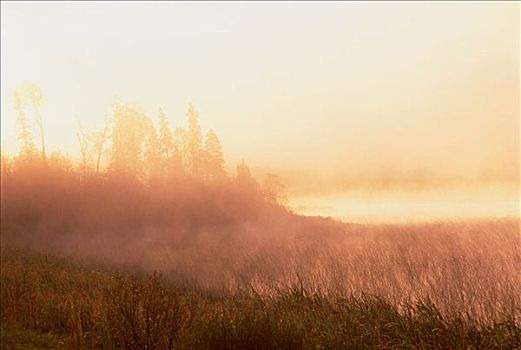 晨雾,靠近,北方,苏必利尔湖,安大略省,加拿大