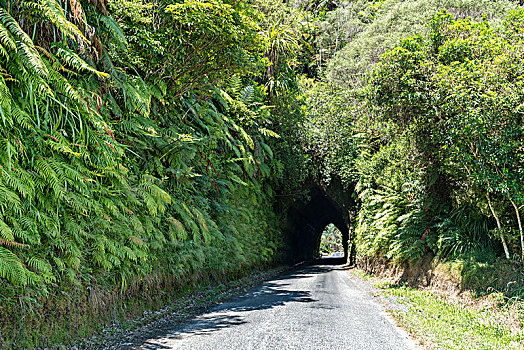 道路,隧道,河谷,新,普利茅斯,地区,塔拉纳基,区域,北岛,新西兰