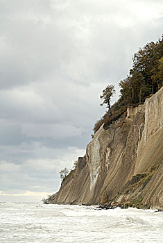 悬崖,靠近,萨斯尼茨,梅克伦堡前波莫瑞州,德国,欧洲