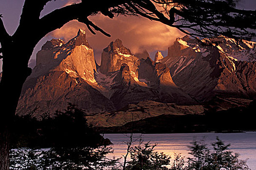 智利,国家公园,风景