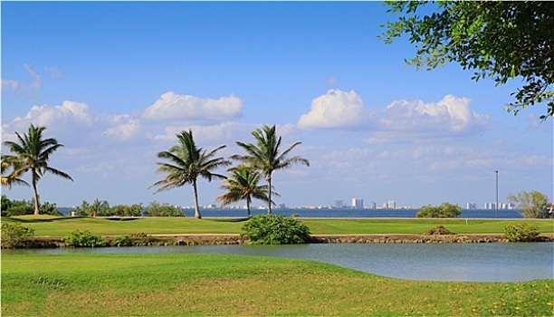 高尔夫球场,热带,棕榈树,墨西哥