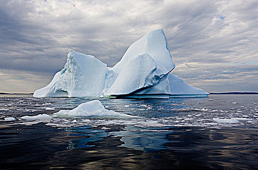 冰山,拉布拉多海,海岸,拉布拉多犬,纽芬兰,加拿大
