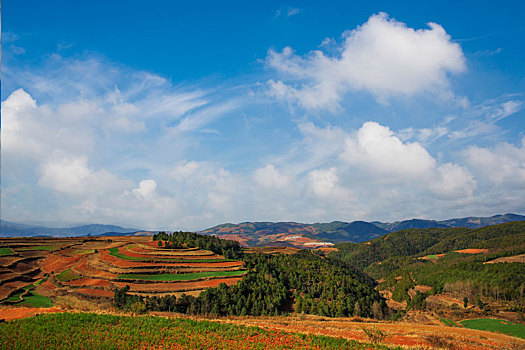 东川红土地