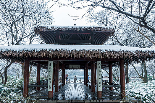 杭州西湖茅家埠雪景