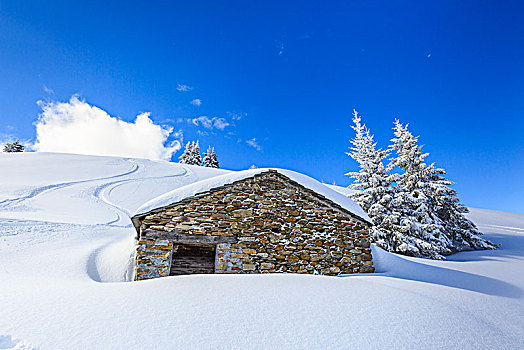 石头,小屋,雪,木头,蒙特卡罗,省,伦巴第,意大利
