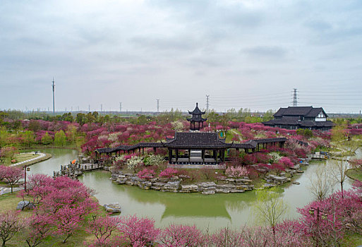 江苏省盐城市大丰区梅花湾景区