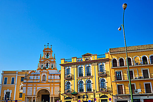 塞维利亚,大教堂,教堂,安达卢西亚,西班牙