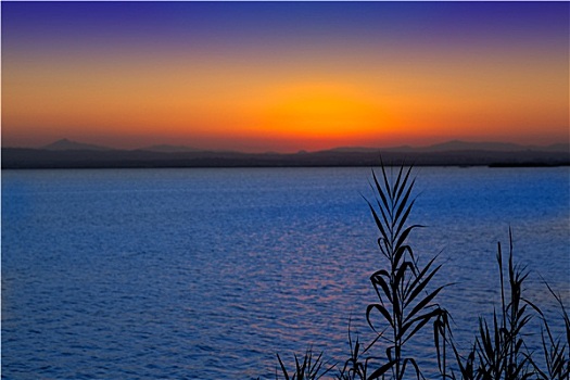 日落,湖,瓦伦西亚