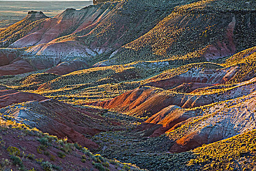 涂绘,石化森林国家公园,亚利桑那,美国