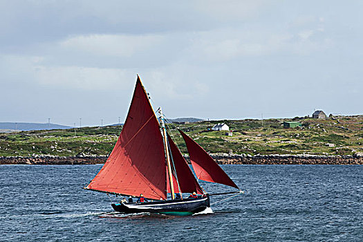 帆船,水,赛舟会,戈尔韦郡,爱尔兰