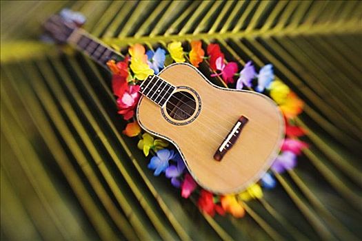 夏威夷四弦琴,围绕,彩色,花环,鲜明,绿色,棕榈叶