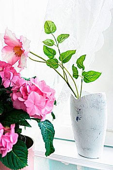 粉花,白色,光滑,花瓶,靠近,盆栽
