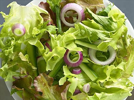 蔬菜沙拉,新鲜,洋葱圈