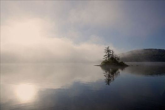 岛屿,薄雾,烟,湖,阿尔冈金省立公园,安大略省,加拿大
