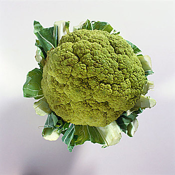 绿花椰菜