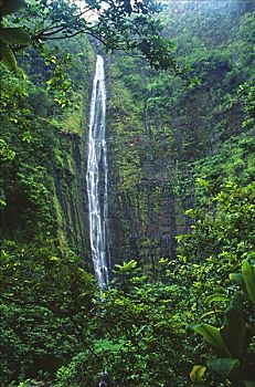 夏威夷,毛伊岛,峡谷,瀑布,雨林