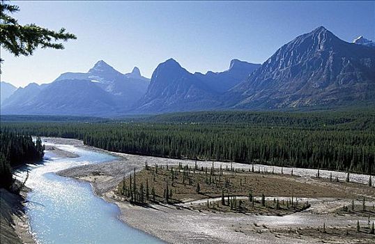 河,山峦,冰原,大路,杰士伯国家公园,加拿大,北美