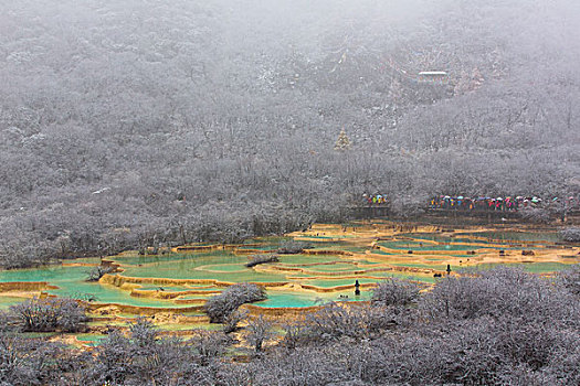 川西黄龙雪景