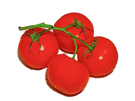 四个,红色,西红柿,枝条,隔绝,白色背景