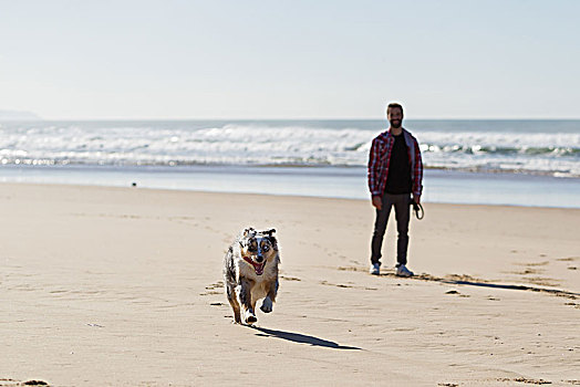 男人,看,狗,跑,海滩